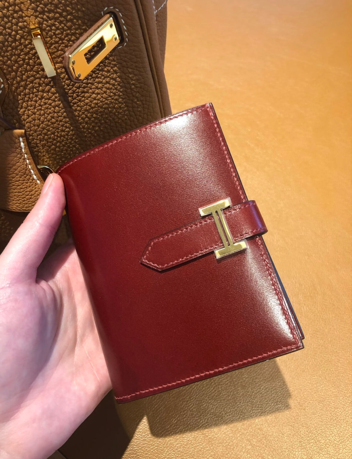 Luxury Mini Wallet | Elegant & Timeless/Luxury Bag